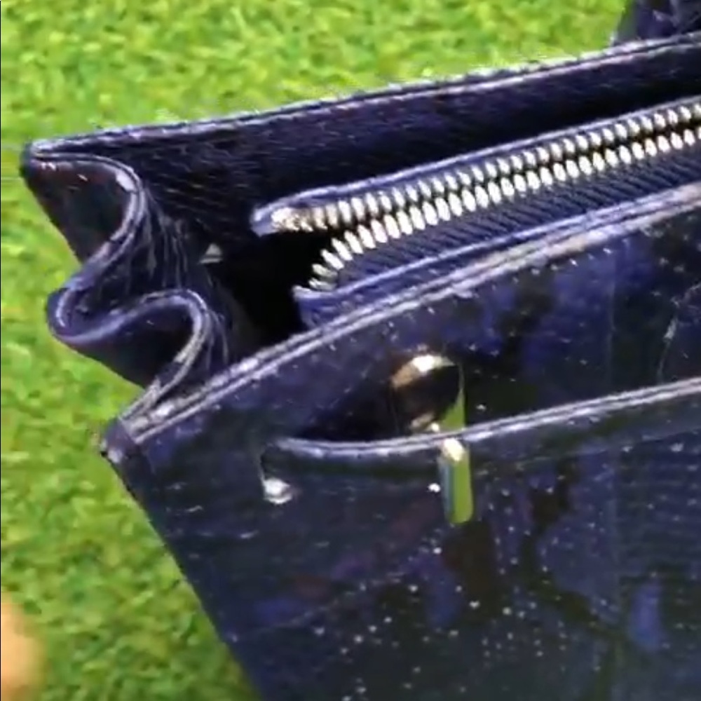 Elegant Blue Real Python Leather Handbag - image 6